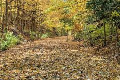 2B4E44E4-C0F7-438A-A8F6-58F5B47044EB