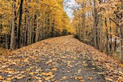 47FB48A2-379B-4557-9961-53641896669D