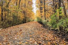 712DD869-651B-449E-ABE0-92E4A9BF44CB