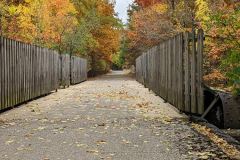 BDCE52AC-358B-48E1-B09C-1E63FE6A8F91