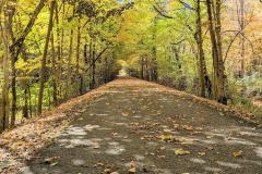 C93492D8-4116-4893-9A9B-AEE22E71E7B1