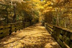 CD6F3290-6576-46B5-A6D8-DC70824C7BE7