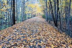 D3DA3BD7-AD21-469F-BC87-8D8CFCA84ED5