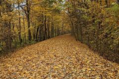 F6ABE076-669C-44D0-B196-16749EE81736