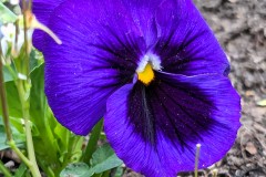 PXL_20240410_1710250322