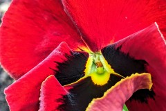 PXL_20240410_1711193032