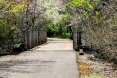 PXL_20240418_1655096132