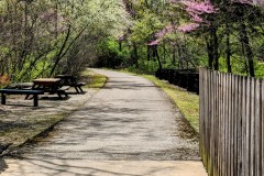 PXL_20240418_1655546242