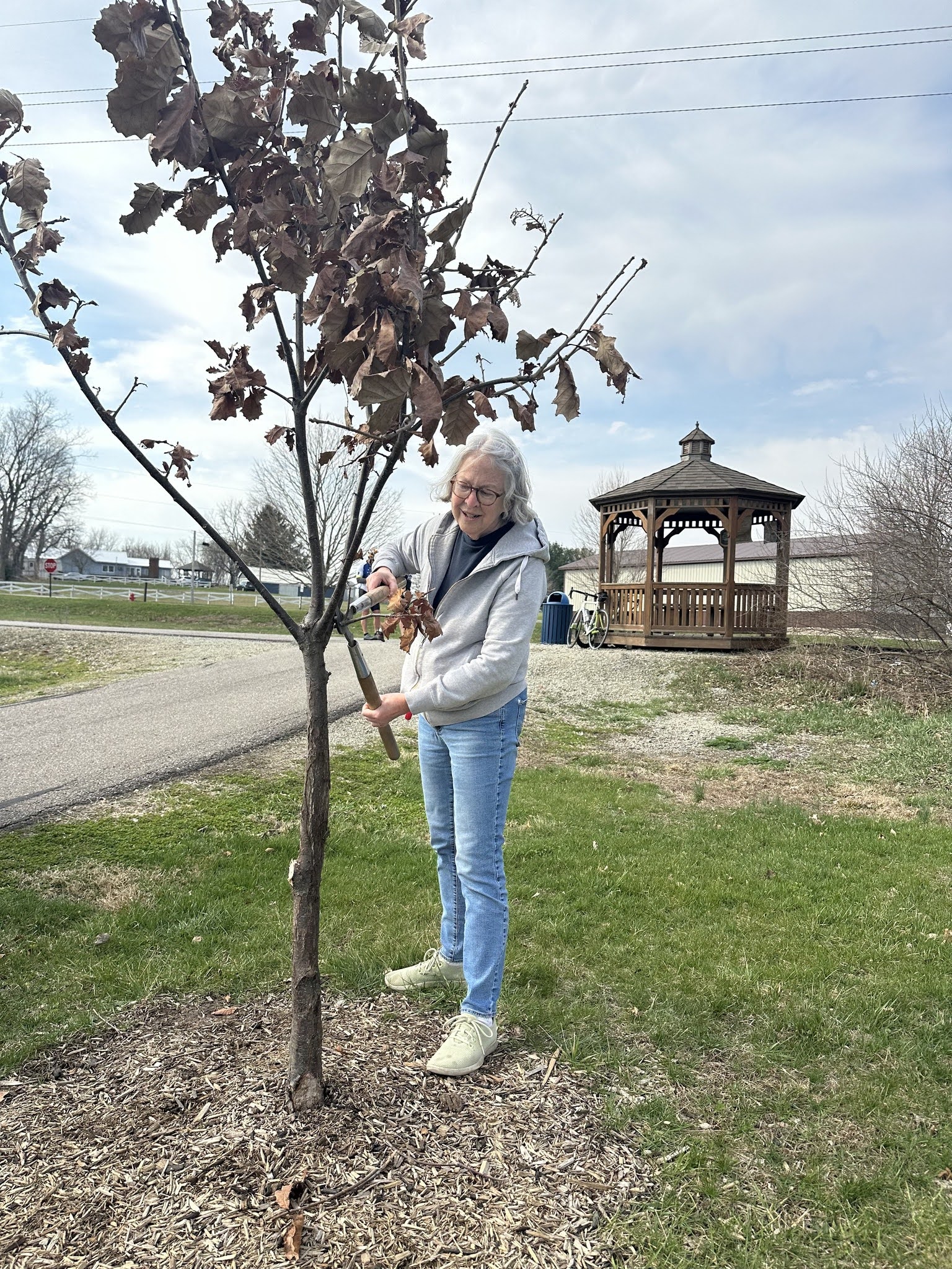Volunteer planting a tree on the Nickel Plate Trail